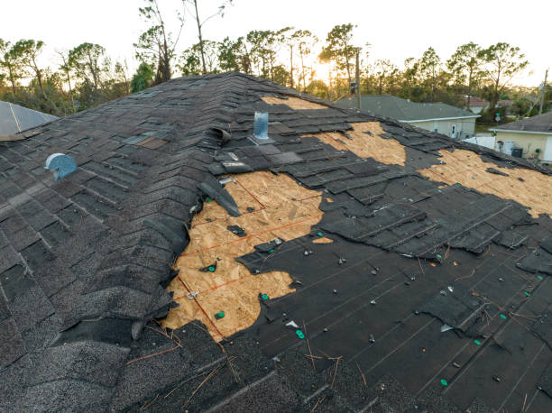 Best Cold Roofs  in Spout Springs, NC